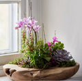 Elegant Variety Centerpiece
