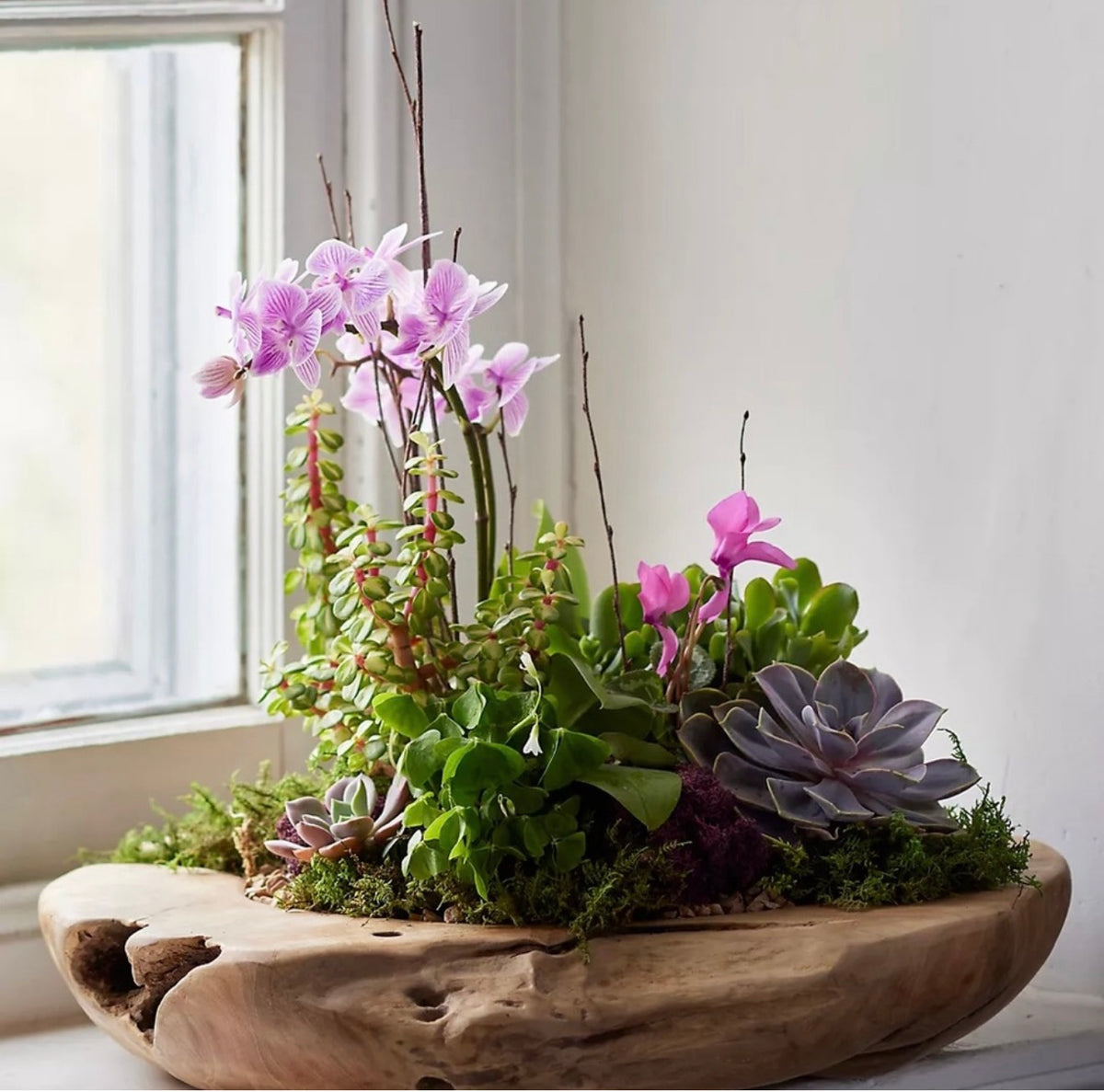 Elegant Variety Centerpiece