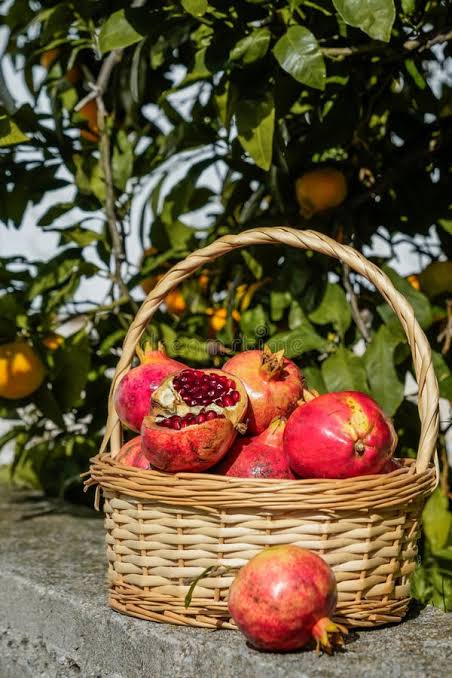 Pomegranate Gift Basket