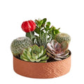 Desert Charm Cactus Centerpiece with assorted cacti and succulents